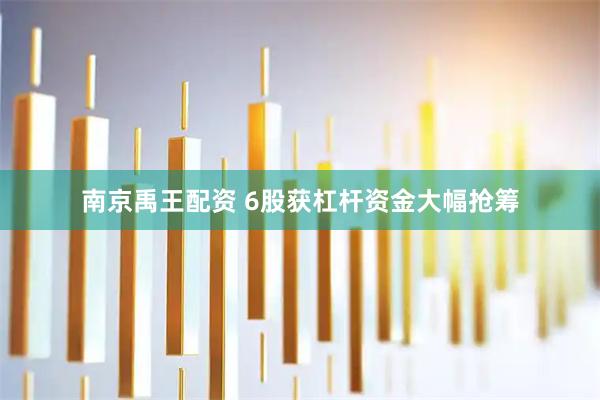 南京禹王配资 6股获杠杆资金大幅抢筹